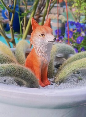 九尾狐狸多肉花盆景装饰摆件户外微景观猴尾柱造景白色小狐狸尾巴