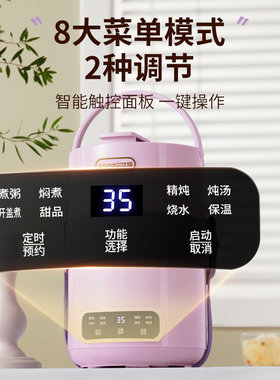 艾仕玛电炖锅便携式小型炖煮锅