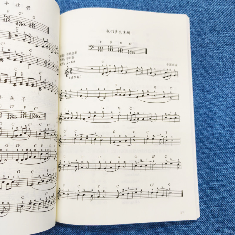 电子琴入门一本通正版电子琴自学教学书籍校园好声音音乐普及系列丛书从零起步学入门简谱电子琴教材 电子琴专用指导用书一本通,淘宝优惠券,粉丝福利购,淘宝优惠卷