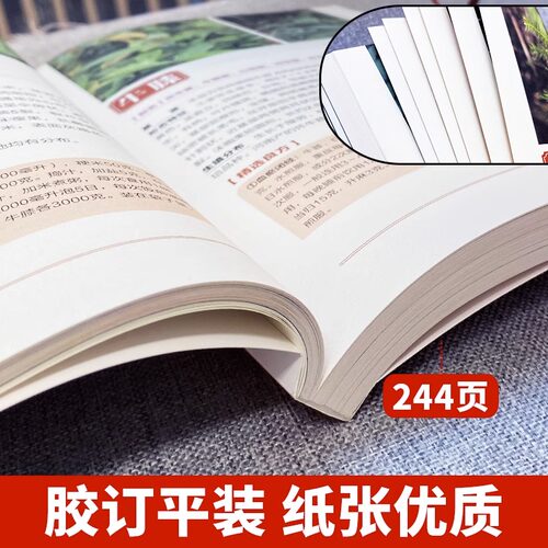 精编百草良方彩图版 常见中草药手册图谱 中草药全图鉴大全书 常见病中成药疗法医药学千家药方精选良方中国土单方老偏方中草药书 - 图2