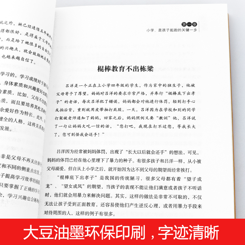 陪孩子走过小学六年正版  家庭教育父母1-6年级刘称莲 陪伴小孩子度走过小学六年级 父母的语言 正面管教养育男女孩 - 图1