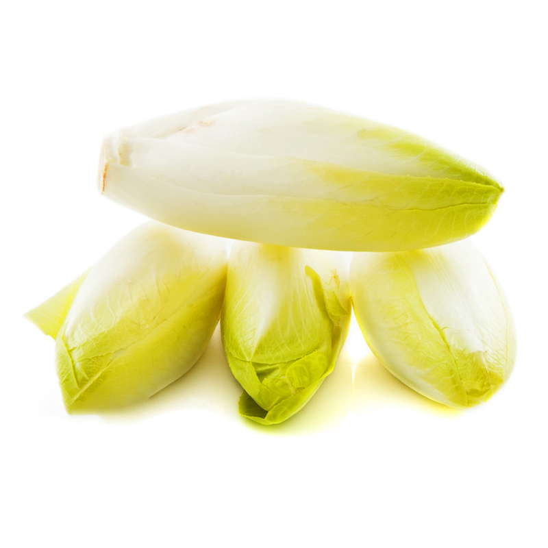 软化菊苣菜种子金玉兰菜种籽欧洲比利时四季播种高产白菜蔬菜种孑-图3
