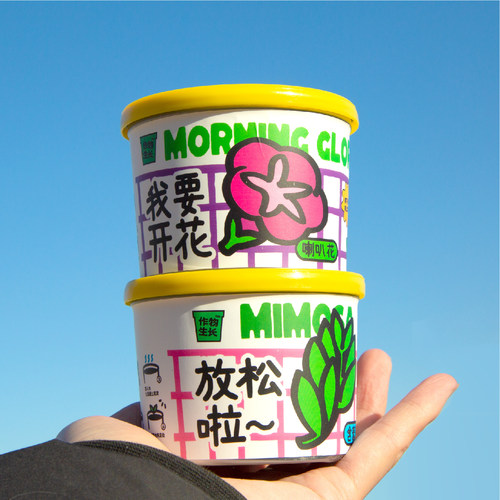 作物生长种植罐头2.0升级版盆栽套装桌面绿植物情绪价值创意礼物 - 图3