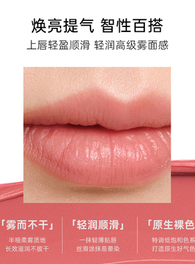 Taashee她叙丝绒柔雾唇釉口红