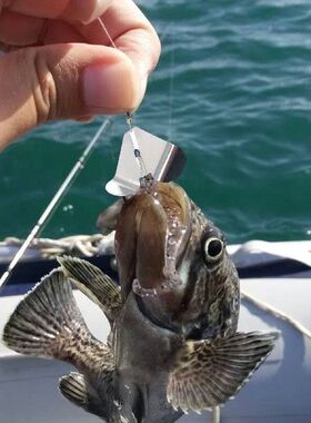 Spinner Bait Bass Jig Weedless Fishing Lure Buzzbait