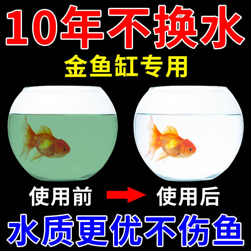 金魚淨水劑 新人首單立減十元 22年11月 淘寶海外
