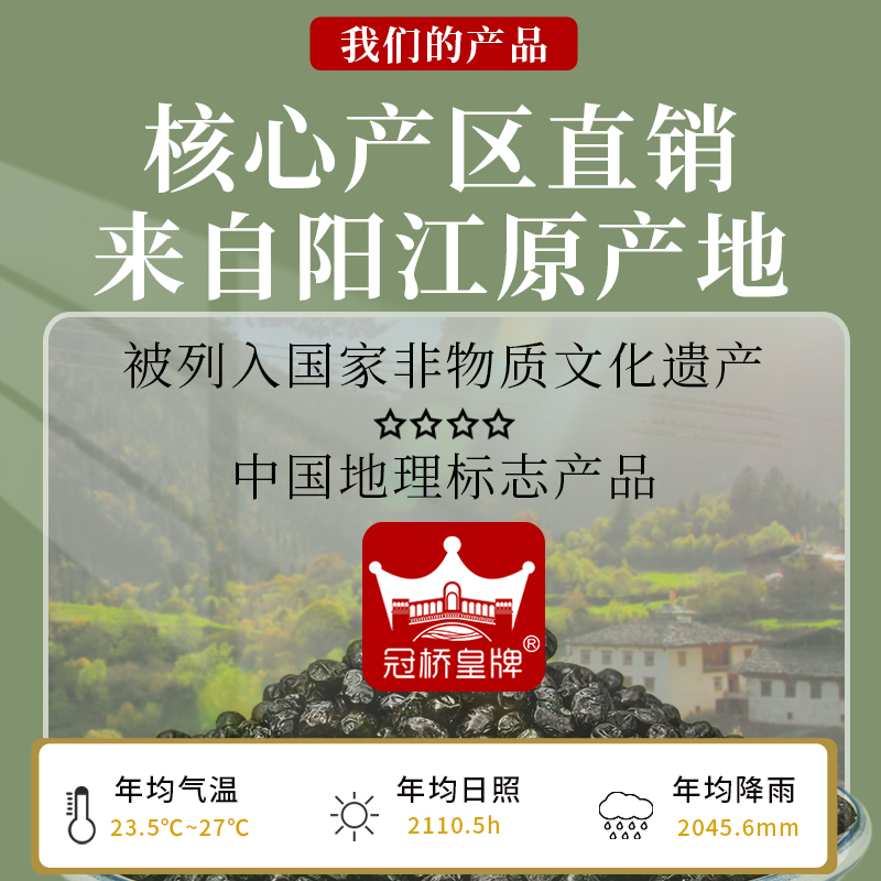 阳江豆豉正宗广东特产阳光豆鼓干黑豆豉粒农家原味豆豉官方旗舰店