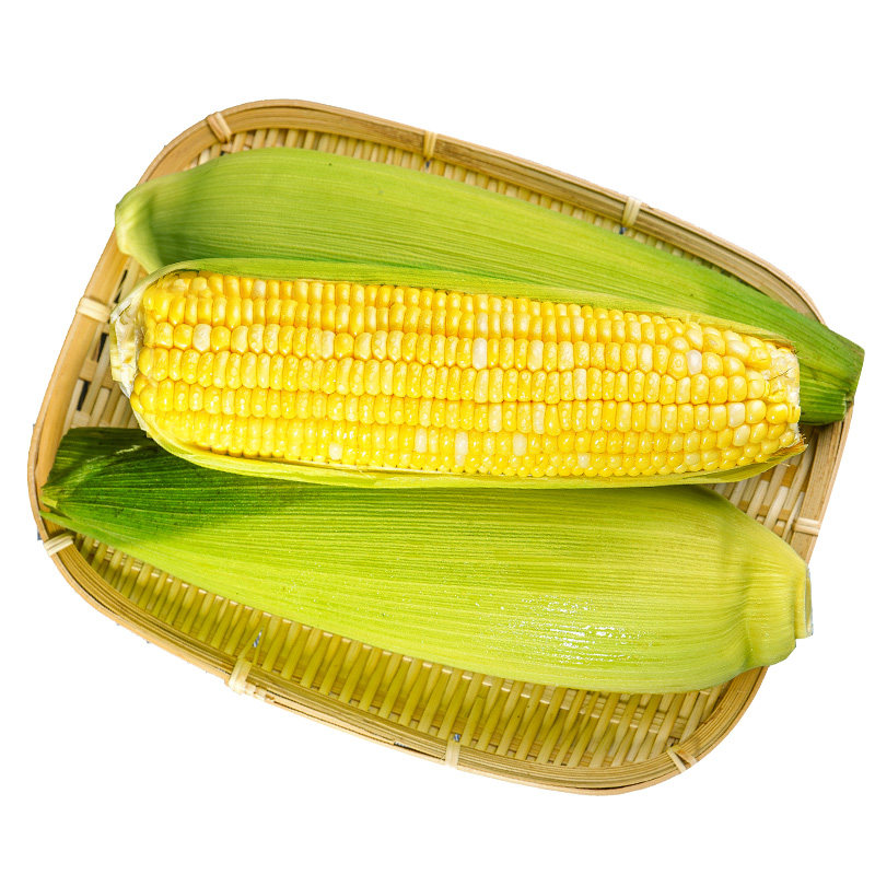 云南现摘水果玉米生吃粘苞谷棒子蔬菜9斤脆甜嫩玉米糯玉米新鲜10,淘宝优惠券,粉丝福利购,淘宝优惠卷