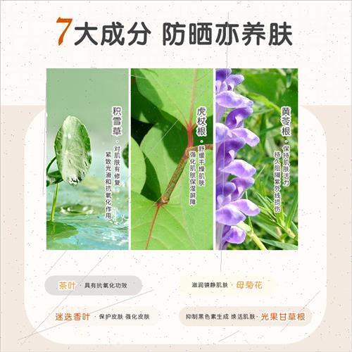 Mei Zui sunscreen spray UV whening sunscreen isolation 3 in - 图2