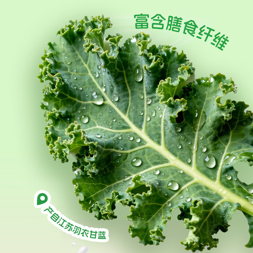 纯享果蔬杯300g*8杯红甜菜羽衣甘蓝果蔬沙拉酸奶风味酸牛奶无添加 - 图3