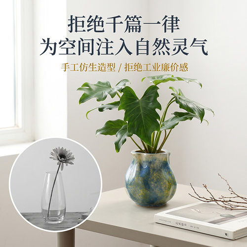 高颜值陶瓷花盆创意简约盆栽盆家用桌面客厅文竹发财树绿植盆景盆 - 图2