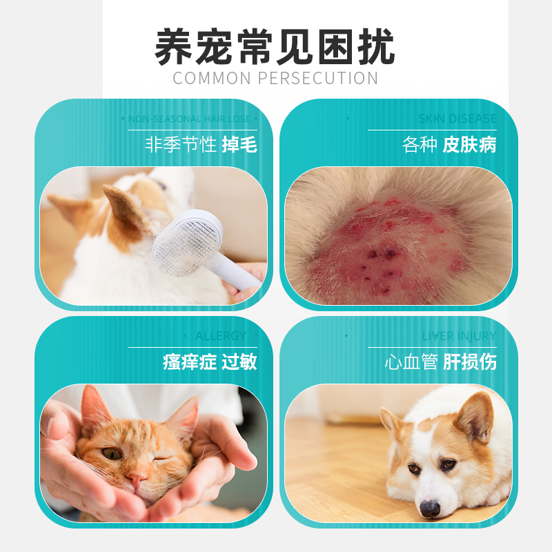 回盛伴肤康必需脂肪酸软胶囊宠物猫咪鱼油狗狗必须营养辅酶q10渣_派森宠物生活馆_宠物/宠物食品及用品-第4张图片-提都小院