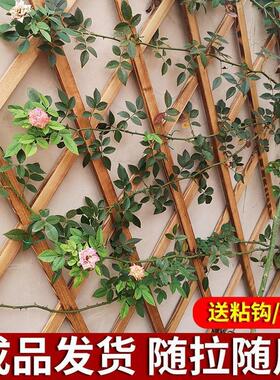 墙上网格阳台月季花架爬藤架篱笆户外种植箱防腐木栅栏花墙架直销