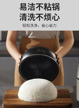 九阳多功能智能预约IH铁釜电饭煲
