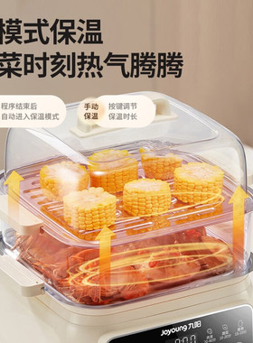 九阳10L升电蒸锅双层蒸笼电热锅