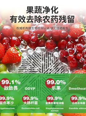 美国汉美驰果蔬清洗机农药除菌洗水果蔬菜神器家用便携食材净化器