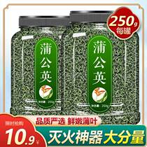 Dandelion Tea Fresh Tonpu Dandelion Wild Special to clear the heat and detoxify breast women to fire and detoxify