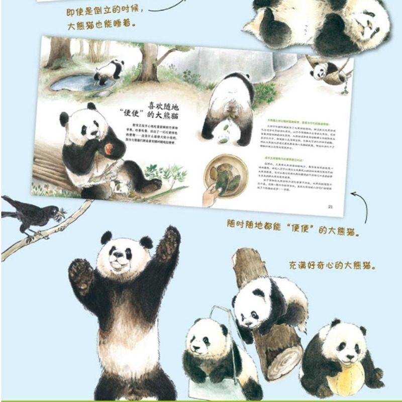 哇！大熊猫精装绘本图画书关于国宝大熊猫的儿童科普图画书让孩子学会用艺术的视角看自然山东科学技术出版社正版童书,淘宝优惠券,粉丝福利购,淘宝优惠卷