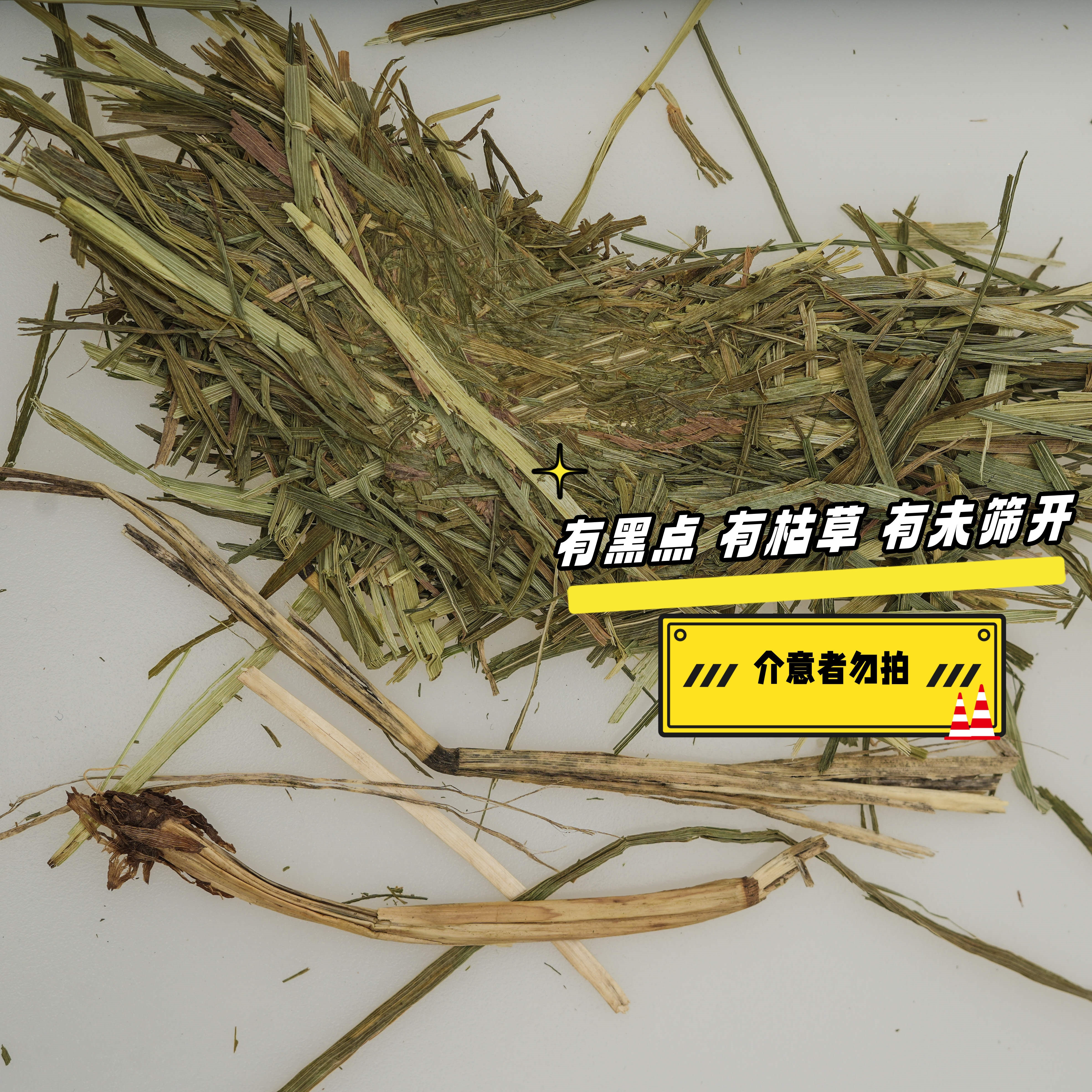 进口美国提摩西晒干草二番多叶,淘宝优惠券,粉丝福利购,淘宝优惠卷