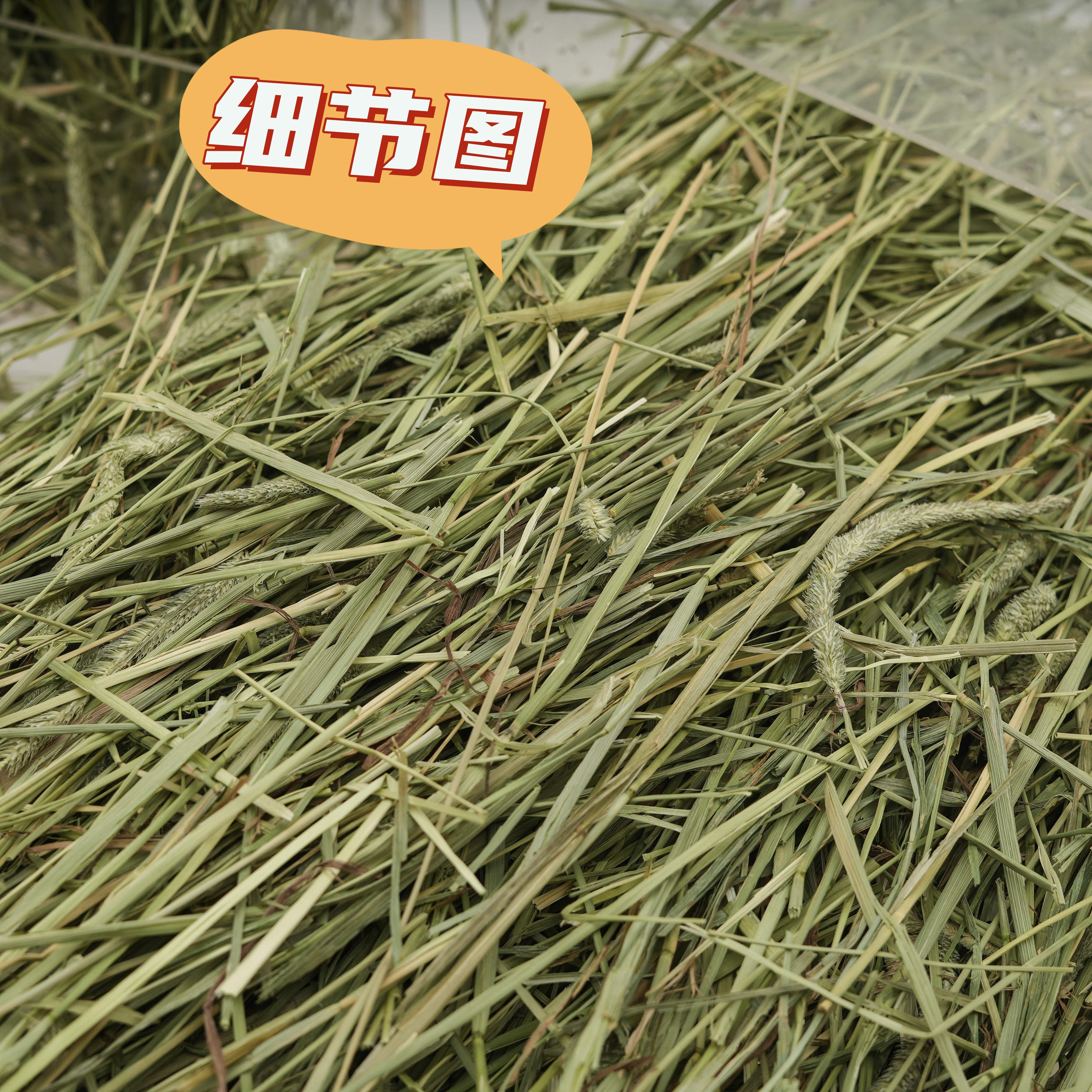 加拿大进口提摩西晒干草一番,淘宝优惠券,粉丝福利购,淘宝优惠卷