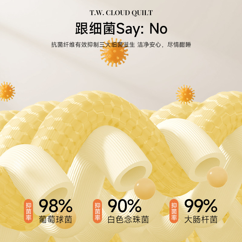 TeenieWeenie小熊软胖胖云朵被保暖冬被加厚春秋被芯发热被褥被子,淘宝优惠券,粉丝福利购,淘宝优惠卷