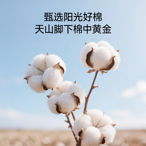 TeenieWeenie新疆棉花床笠罩单件纯棉夹棉抗菌防水床垫保护套全棉 - 图0