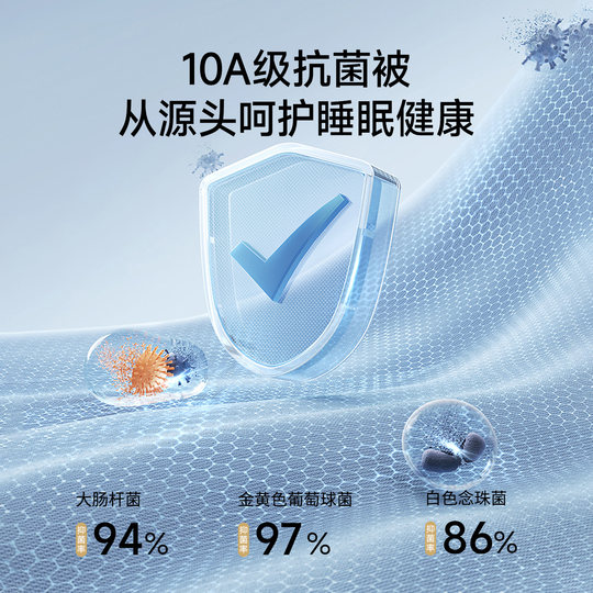 TeenieWeenie Bear Class A Antibacterial Winter Quilt Core 2025 New Winter Thickened Warm Spring and Autumn Quilt