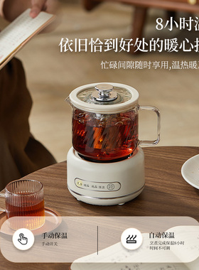【热销N0.1】全玻璃电热杯