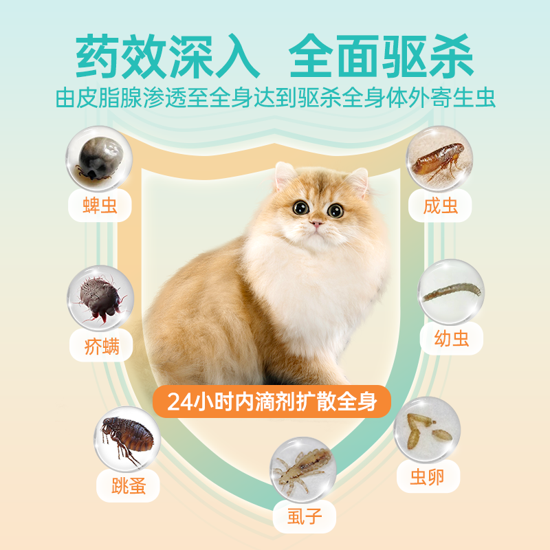 宠物维它小狗狗子猫咪驱虫药体内外一体跳蚤非泼罗尼滴剂体外驱虫-图1