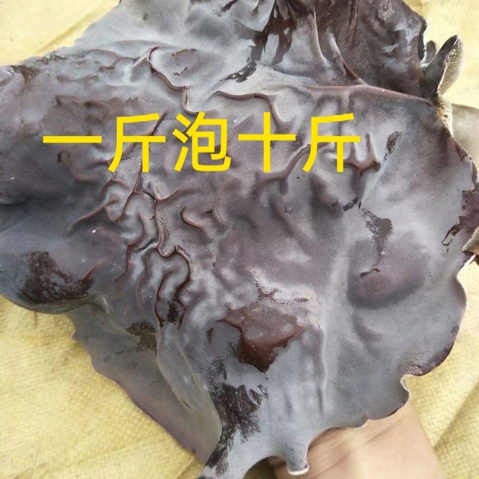 【头茬毛木耳】黑木耳丝农家特产食材 果域风光黑木耳