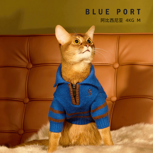 Blue port宠物秋冬保暖毛衣中小型犬狗狗猫咪翻领时尚加厚针织衫 - 图1