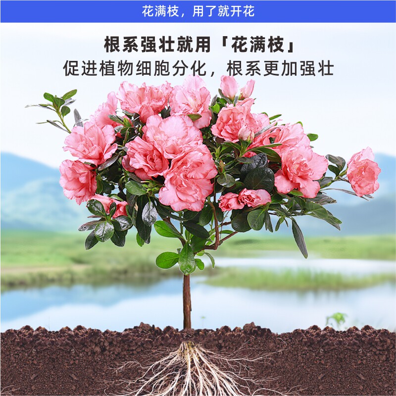 花满枝营养液免稀释月季茉莉桂花花草植物通用型促花家用花肥肥料 - 图2