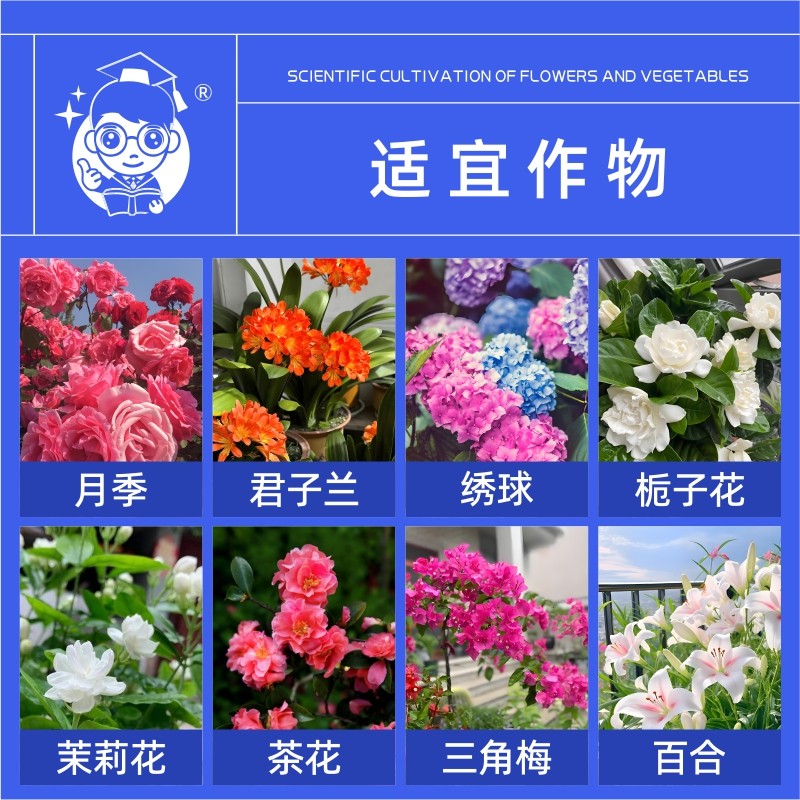 花满枝营养液免稀释月季茉莉桂花花草植物通用型促花家用花肥肥料 - 图3