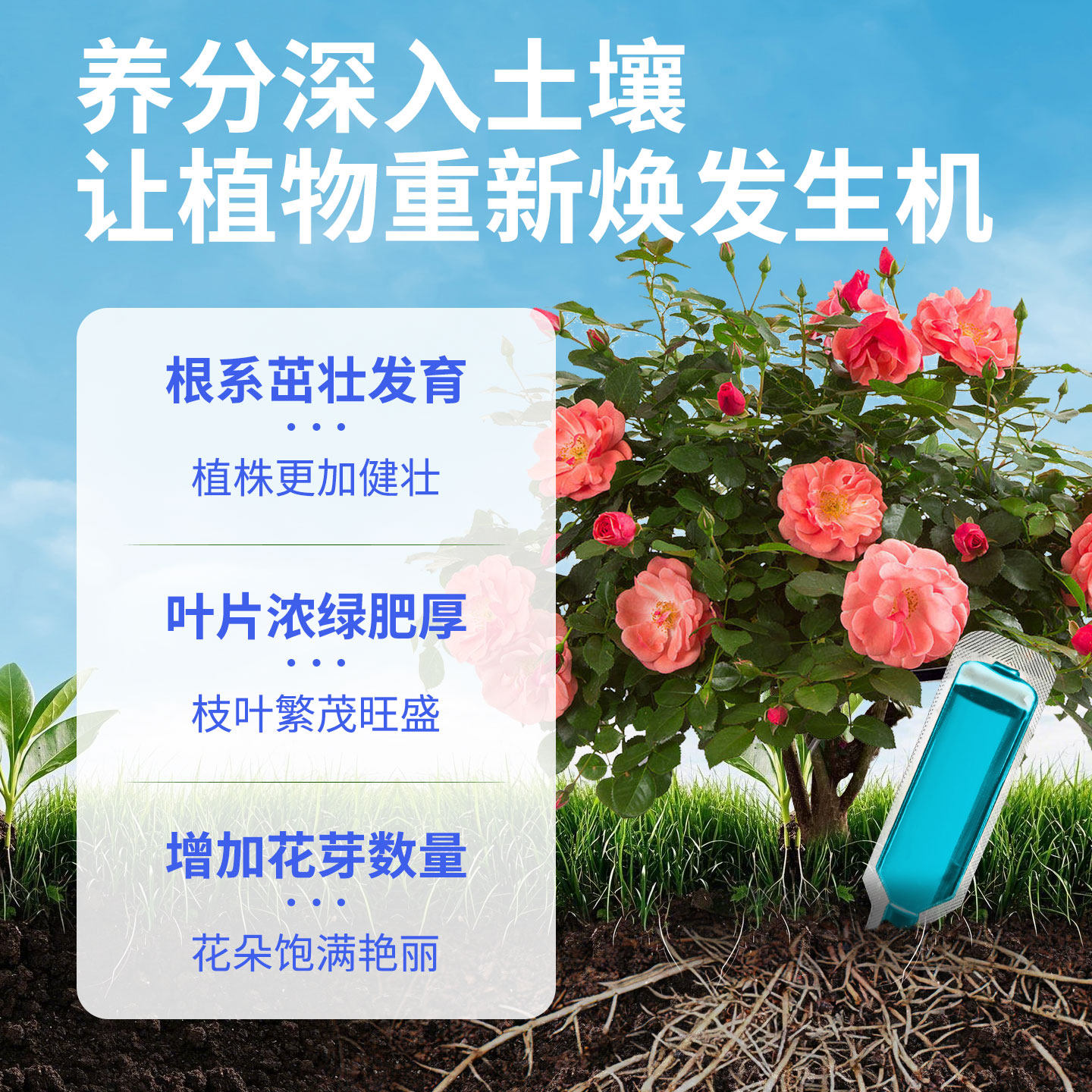 爬藤月季专用植物再生剂通用营养液防黄叶促开花盆栽花卉开花肥料,淘宝优惠券,粉丝福利购,淘宝优惠卷
