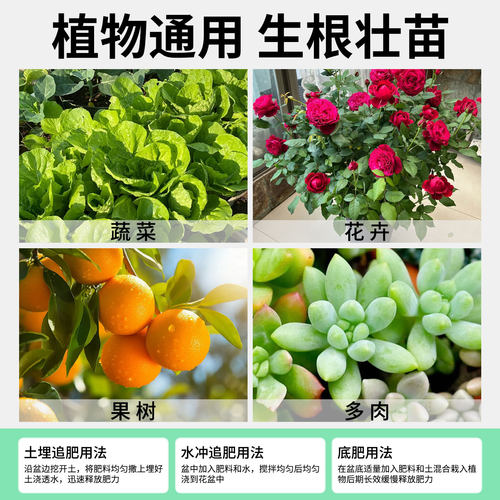 纯羊粪发酵有机肥料蔬菜专用种菜花卉专用腐熟内蒙古营养土旗舰店 - 图3