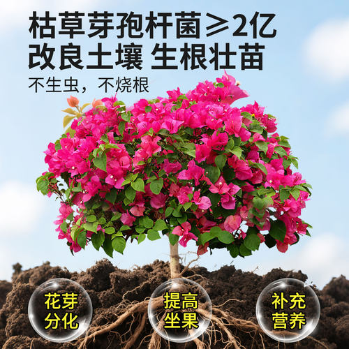 发酵豆粕有机肥料蔬菜专用农家肥颗粒盆栽花卉种菜通用生物有机肥 - 图2