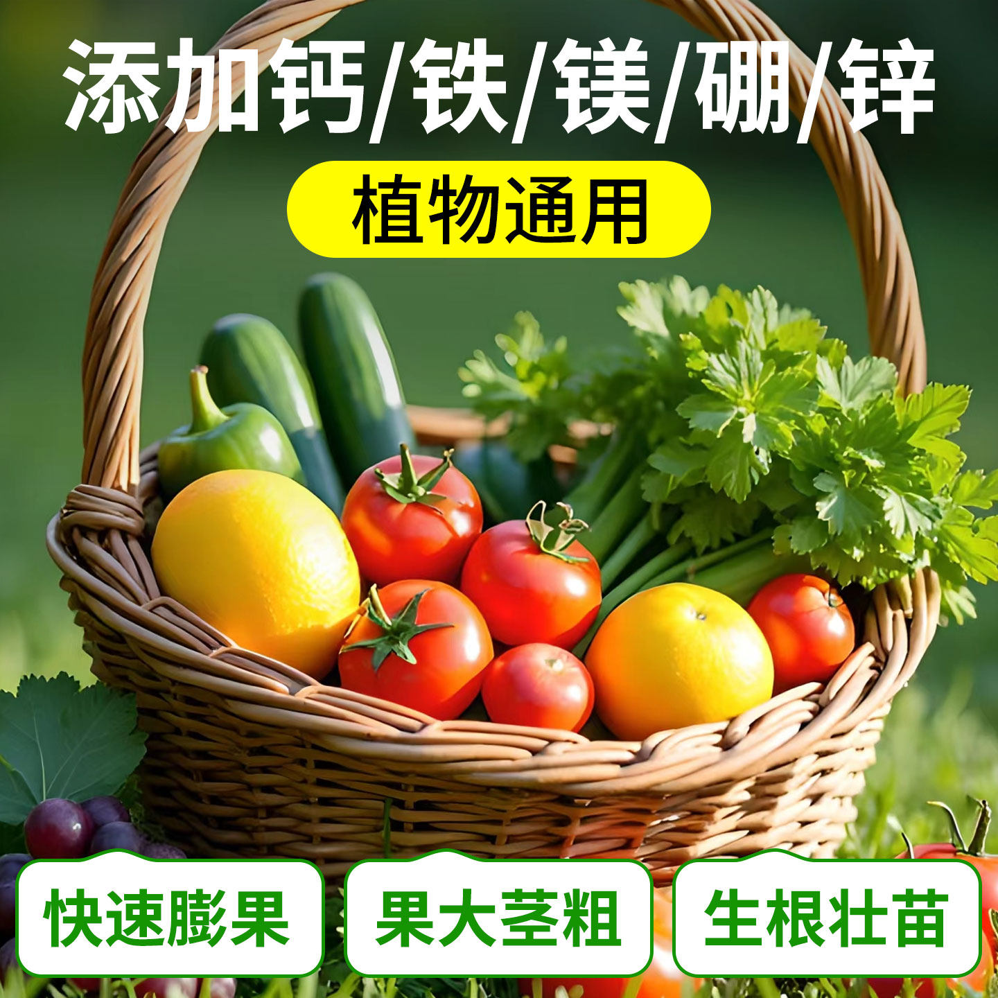 一包搞定叶面肥农药蔬菜复合肥料养花用水溶性果树钙硼肥植物通用,淘宝优惠券,粉丝福利购,淘宝优惠卷