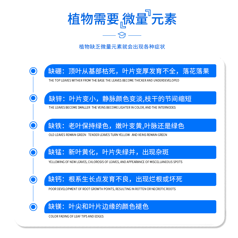 花草博士富贵竹专用营养液家用养花卉绿植水培通用型植物液体肥料 - 图2