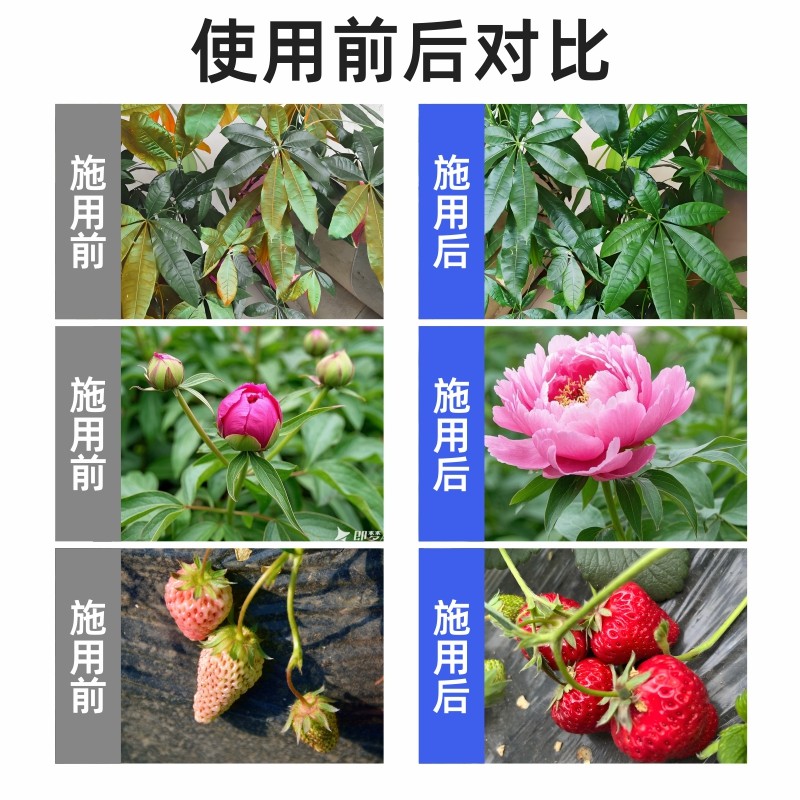 一包搞定叶面肥农药蔬菜复合肥料养花用水溶性果树钙硼肥植物通用,淘宝优惠券,粉丝福利购,淘宝优惠卷