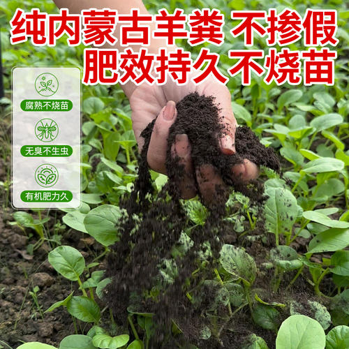 纯羊粪发酵有机肥料蔬菜专用种菜花卉专用腐熟内蒙古营养土旗舰店 - 图1