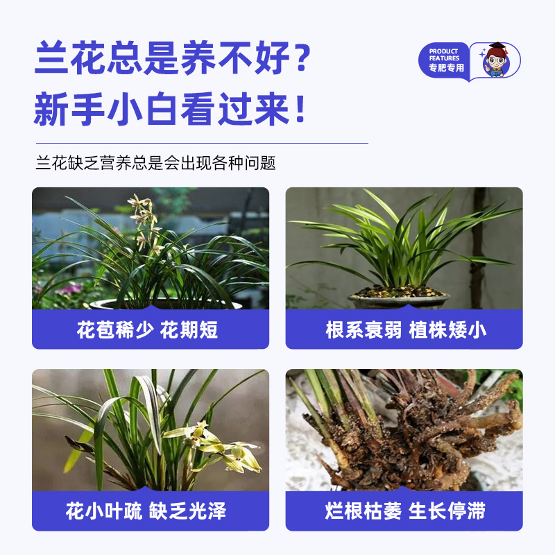 蝴蝶兰营养液兰科活化剂兰花墨兰水培专用开花肥促花肥料兰灵旺