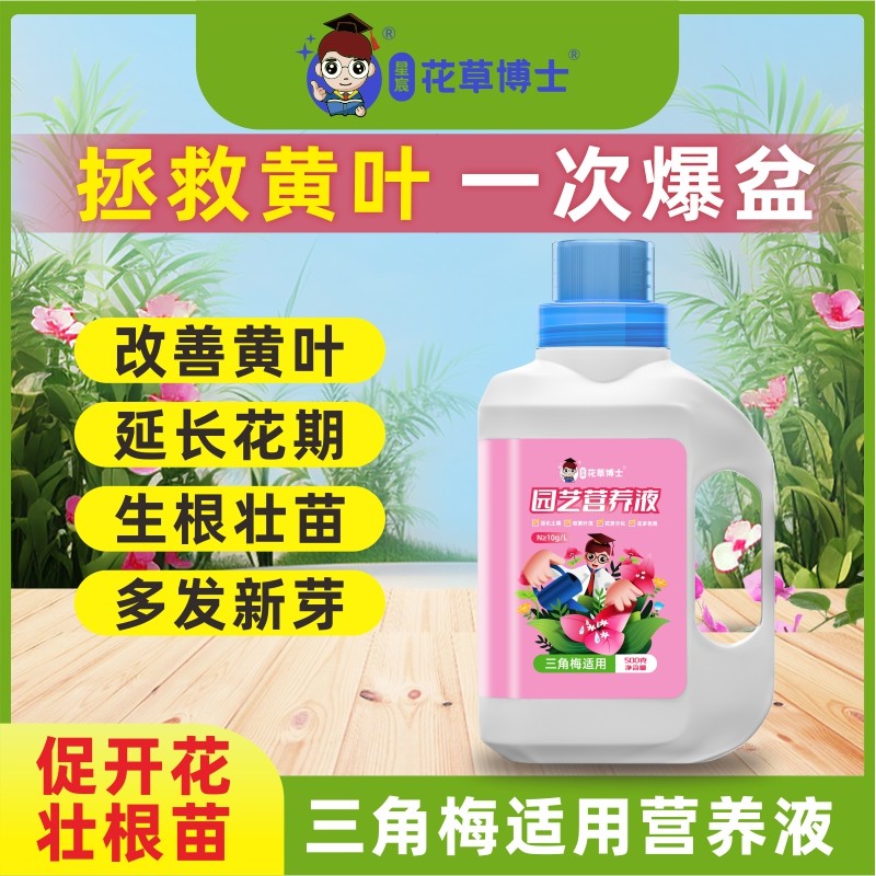 三角梅专用营养液枝繁叶茂促开花爆花家用花卉催花液体花肥肥料,淘宝优惠券,粉丝福利购,淘宝优惠卷