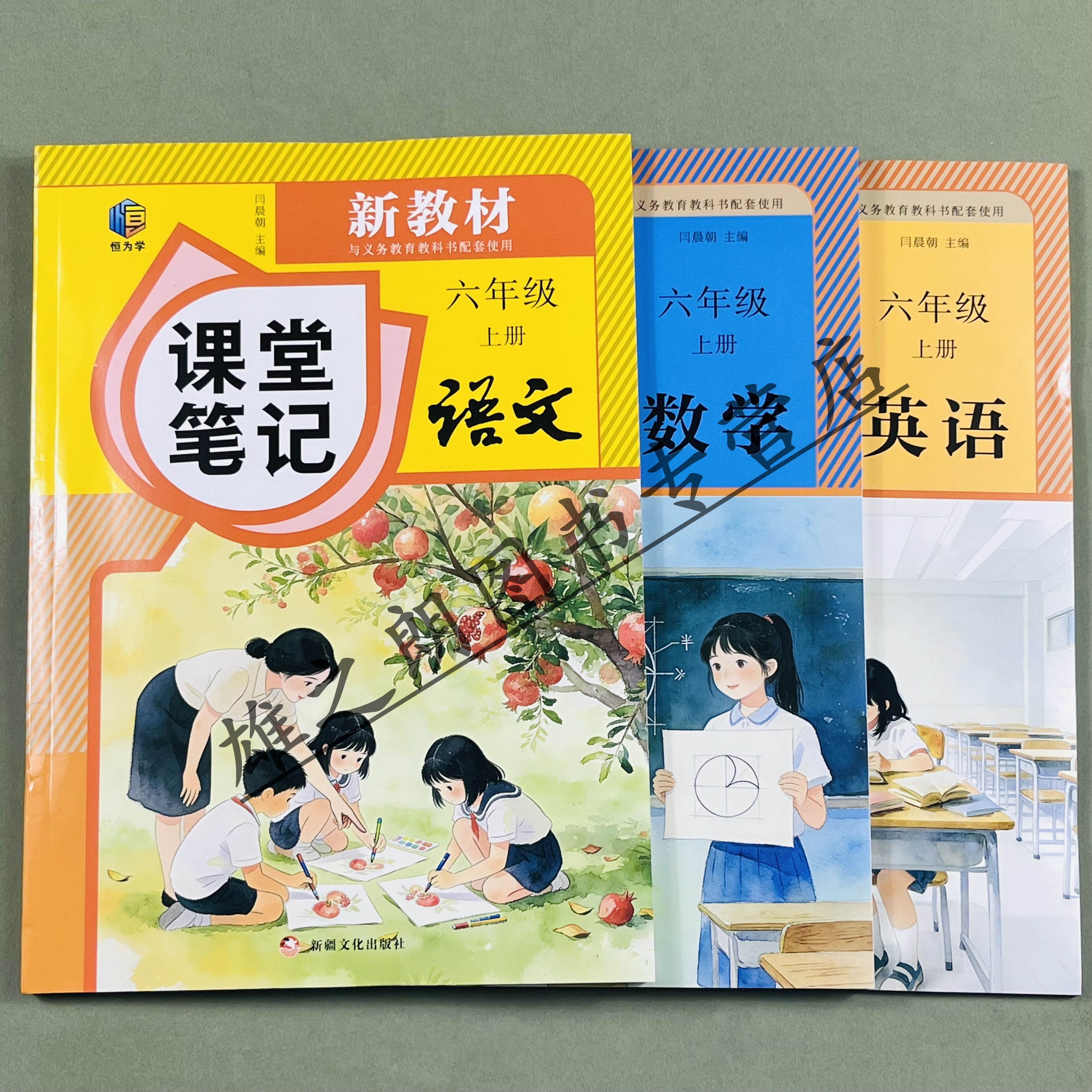 斗半匠新版知识集锦六年级上册语文人教版6上同步教材重点知识解读小学语文知识大全课堂笔记知识点清单课前总结预习复习学习资料