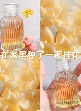 纪思慕罗马柱桂无火香薰家居日用干花藤条臭芳香立式香薰香水