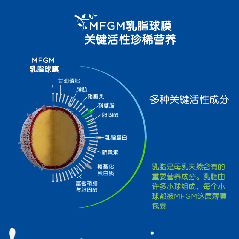 Herobaby宝宝奶粉原装进口白金版2段婴幼儿配方奶粉6-12个月800g-图3