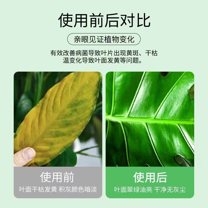 植物营养液通用型黄叶一喷绿花肥黄叶变绿叶面肥营养液通用养花绿 - 图0