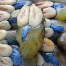 Shop Owner Recommended Inkfish Eggs 500g Mesh Fish Egg Squid Egg With Paste Dry Aquatic Specie Seafood