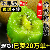 Shaanxi eyebrow county Xu Xiangkiu Monkey Peach Gift Box 5 Catty Green Heart Macaque Fruits Fresh When Season Full Box