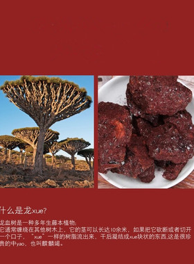 抗皱保湿龙血膏素颜面霜贵妇膏