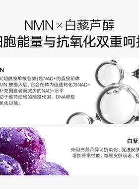 滋养能量改善肌肤活力感
